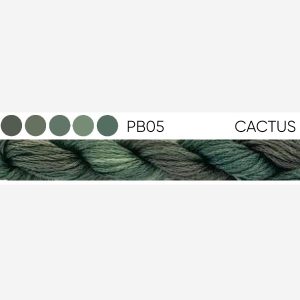 PB05 Cactus – 6 Stranded Cotton