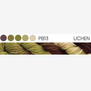PB13 Lichen – 6 Stranded Cotton