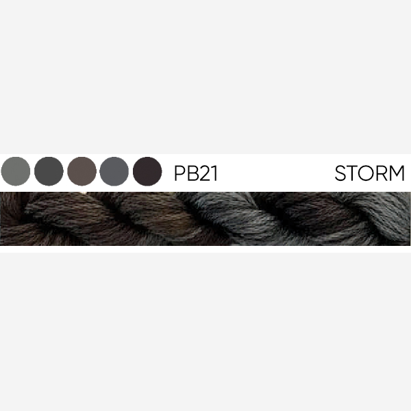 PB21 Storm – 6 Stranded Cotton